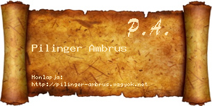 Pilinger Ambrus névjegykártya